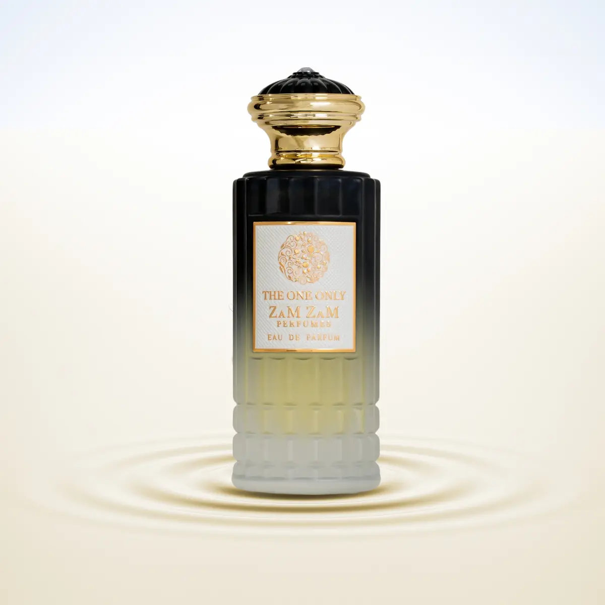 premium men Eau de Parfum 100ml